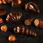 Dark Praline Seashell image number null