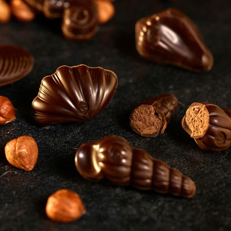 Dark Praline Seashell image number null