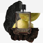 Terre d'Herm&egrave;s Intense Travel Spray + Refill image number null