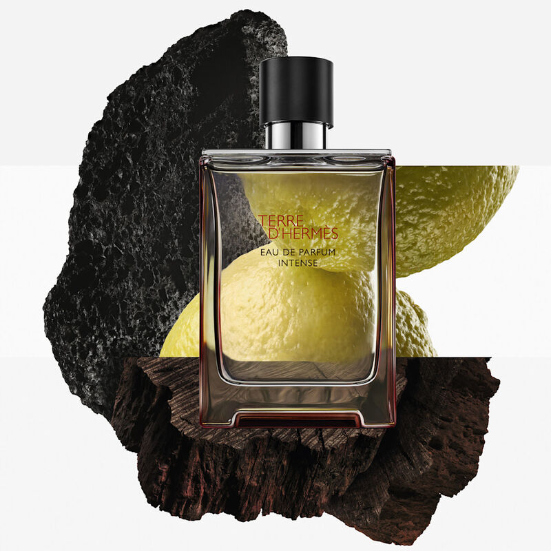Terre d'Herm&egrave;s Intense Travel Spray + Refill image number null