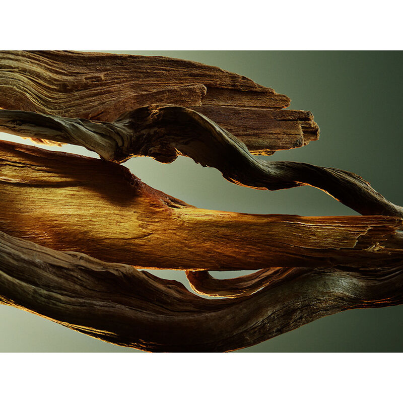 Man Wood Essence image number null