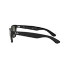 Ray New Way M Plas Black Green Po image number null
