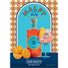 Arancia Italian Gin image number null