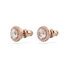 Constella Lady Earrings White image number null