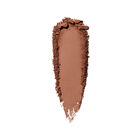 Bronzing Powder image number null