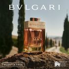 Man Terrae Essence image number null