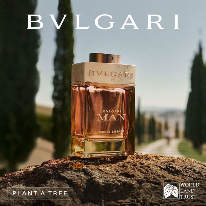 Man Terrae Essence image number null