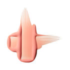 Lipglass Air  image number null