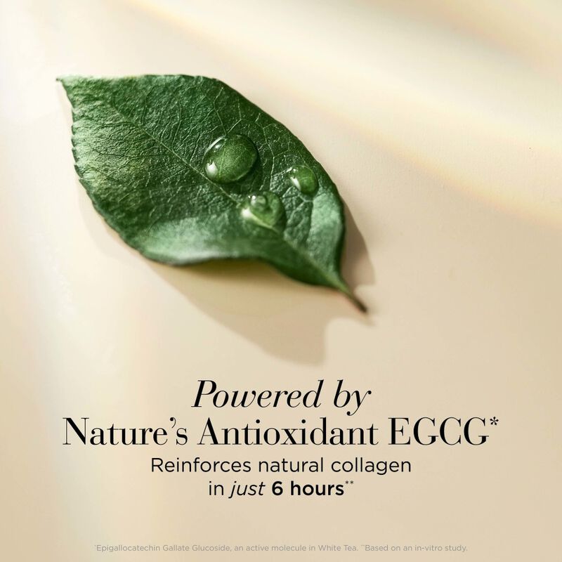 White Tea Skin Solutions Fortifying Bi-Phase Oil Serum image number null