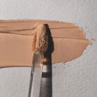 Power Plush Longwear Concealer image number null