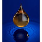 Prairie Skin Caviar Night Oil image number null