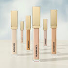Beyond Wear Perfecting Concealer image number null