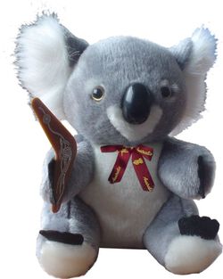 Boomerang Koala