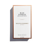 Blue Cypress image number null