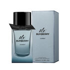 Mr. Burberry Element image number null