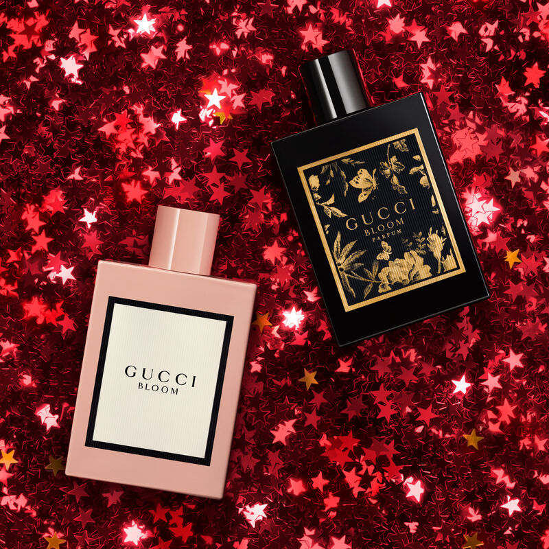 Bloom image number null