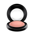 Mineralize Blush  image number null