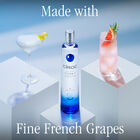 Vodka image number null