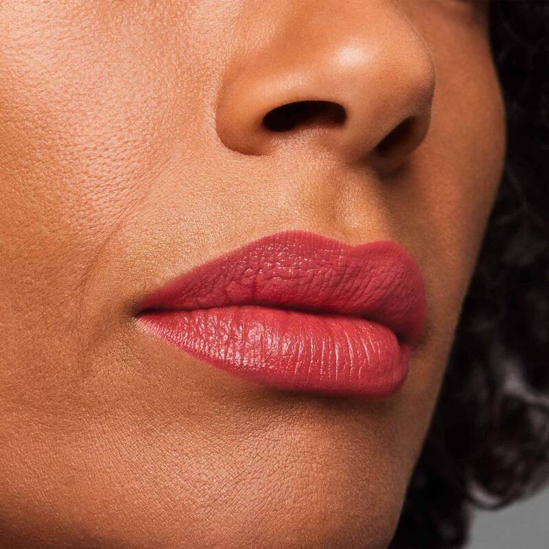 Pure Color Creme Lipstick image number null