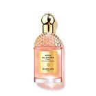 Aqua Allegoria Forte Rosa Palissandro image number null