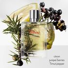 Terre d'Hermès Eau Givrée image number null