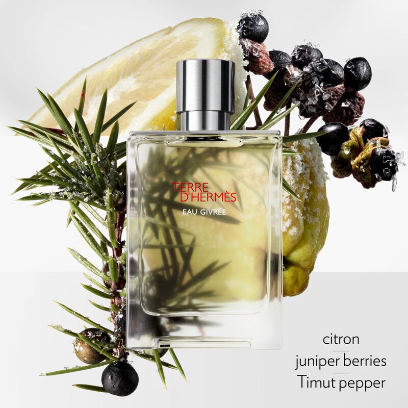 Terre d'Hermès Eau Givrée image number null