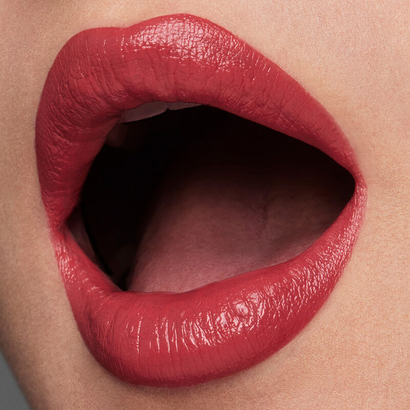 Pure Color Creme Lipstick image number null