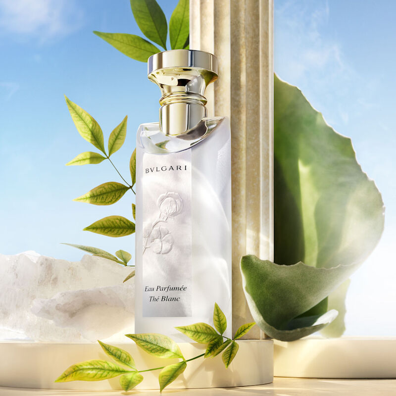 Eau Parfumée Thé Blanc image number null