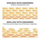 Advanced Ceramide Capsules Face & Eye Serum Set image number null