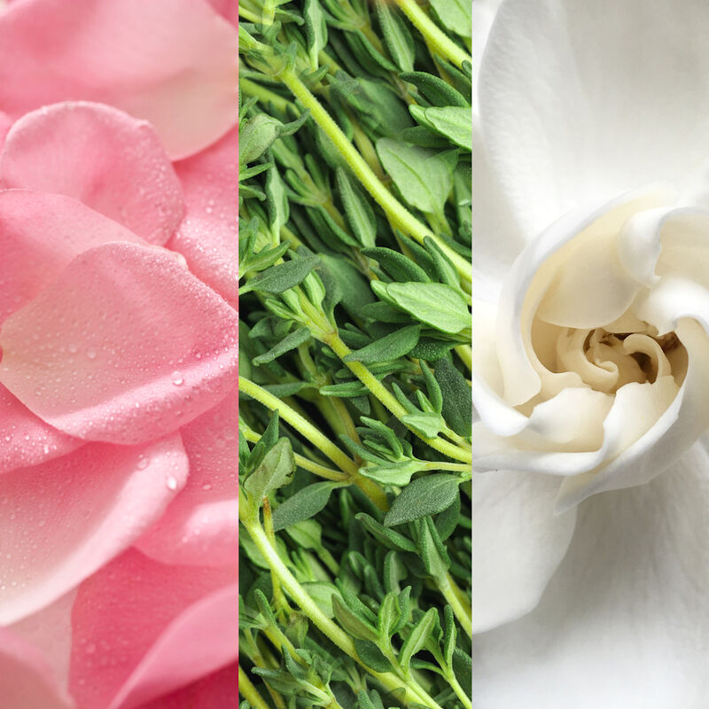 Facial Spray With Aloe, Herbs & Rosewater image number null