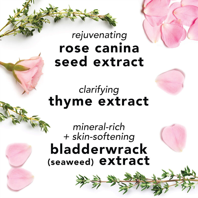 Facial Spray With Aloe, Herbs & Rosewater image number null