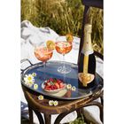 Garden Spritz Sparkling Wine image number null