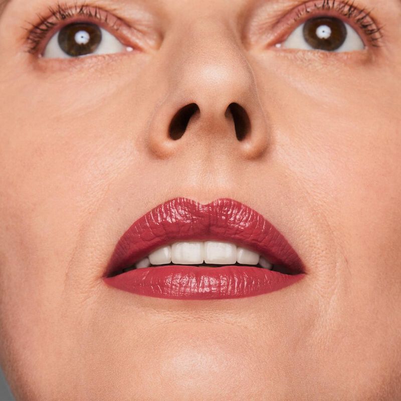 Pure Color Creme Lipstick image number null