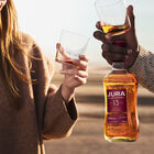 13 Year Old Island Single Malt Scotch Whisky image number null