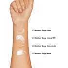 Moisture Surge Overnight Mask image number null