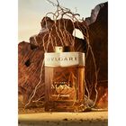 Man Terrae Essence image number null