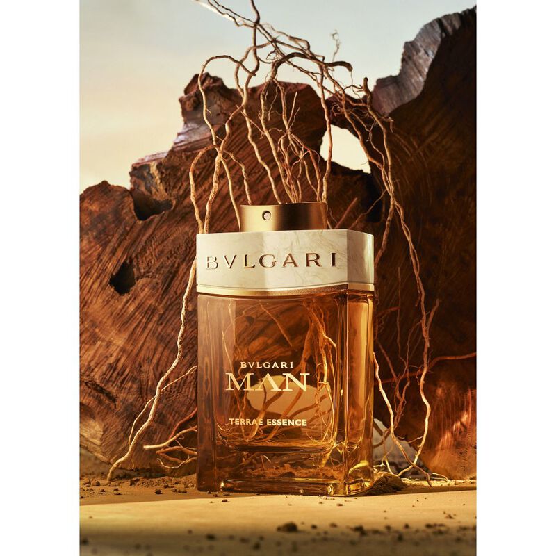 Man Terrae Essence image number null