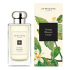 Orange Blossom Cologne image number null