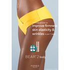 Bear 2 Body Evergreen image number null