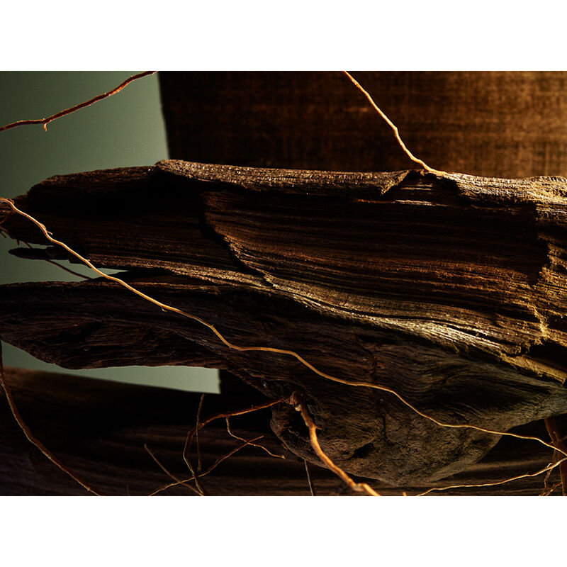 Man Wood Essence image number null
