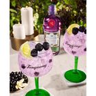 Royale Blackcurrant Gin image number null