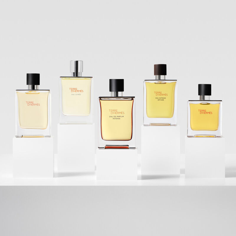 Terre d'Hermès image number null