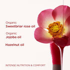 Lip Comfort Oil 10 Years Anniversary Limited Edition  image number null