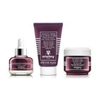Black Rose Cream Mask image number null