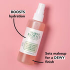 Facial Spray With Aloe, Herbs & Rosewater image number null