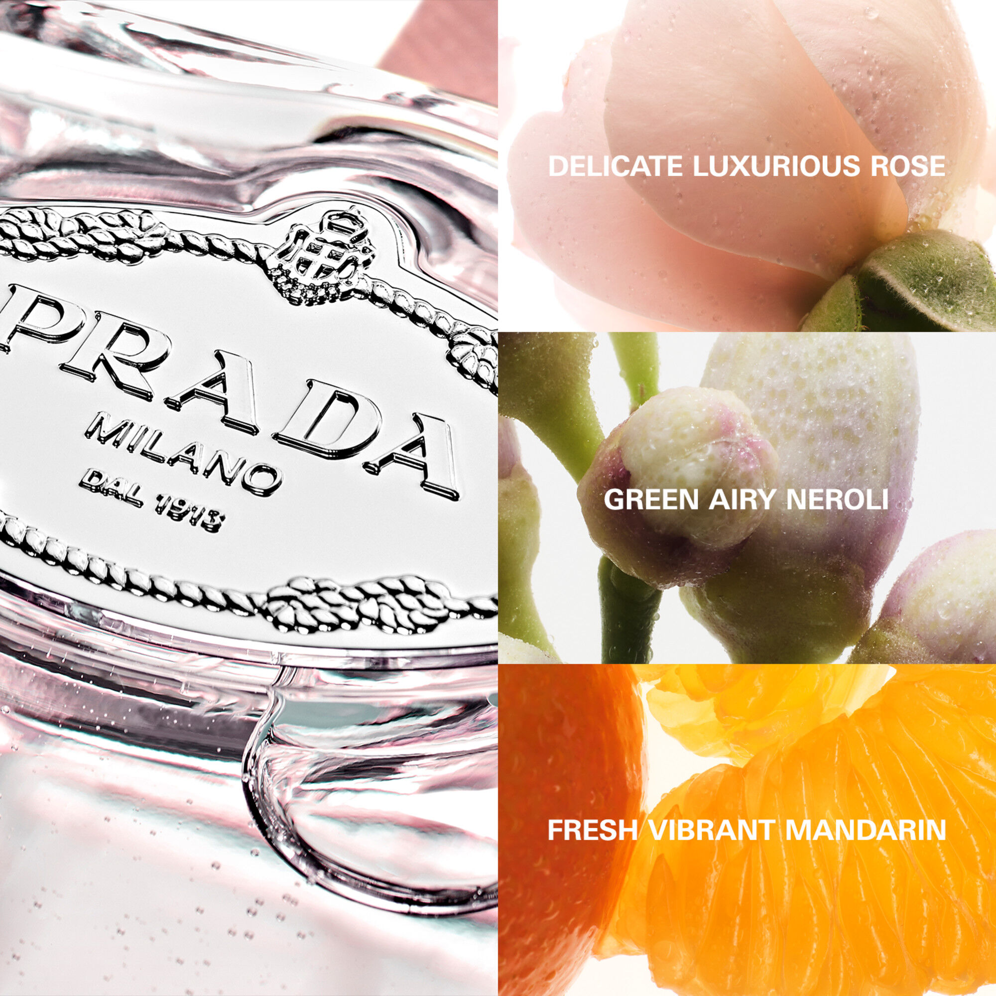 Prada infusion rose top