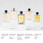 Terre d'Herm&egrave;s Intense Travel Spray + Refill image number null