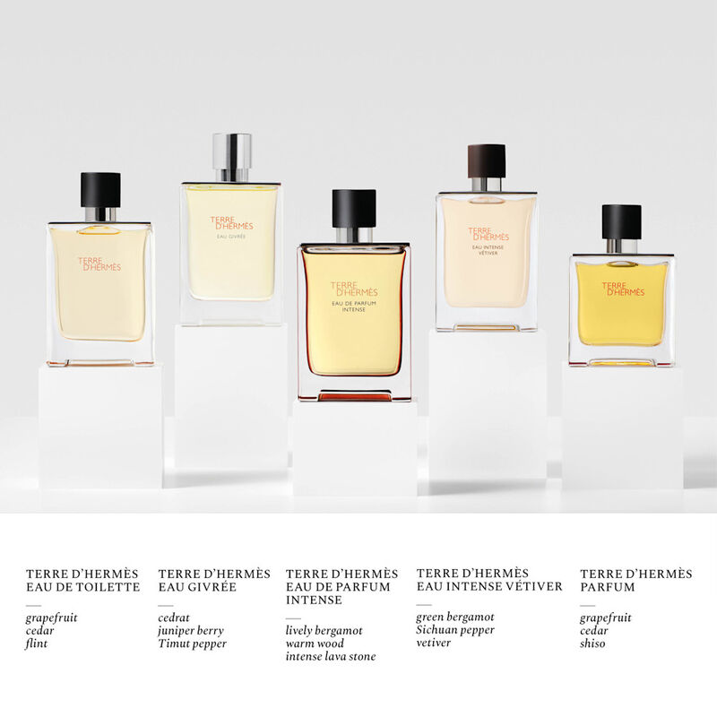 Terre d'Herm&egrave;s Intense Travel Spray + Refill image number null
