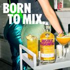 Passionfruit Vodka Sweden image number null