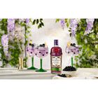 Royale Blackcurrant Gin image number null